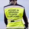 Equisafety Air Waistcoat - Horse In Training Please Slow Down (Yellow)