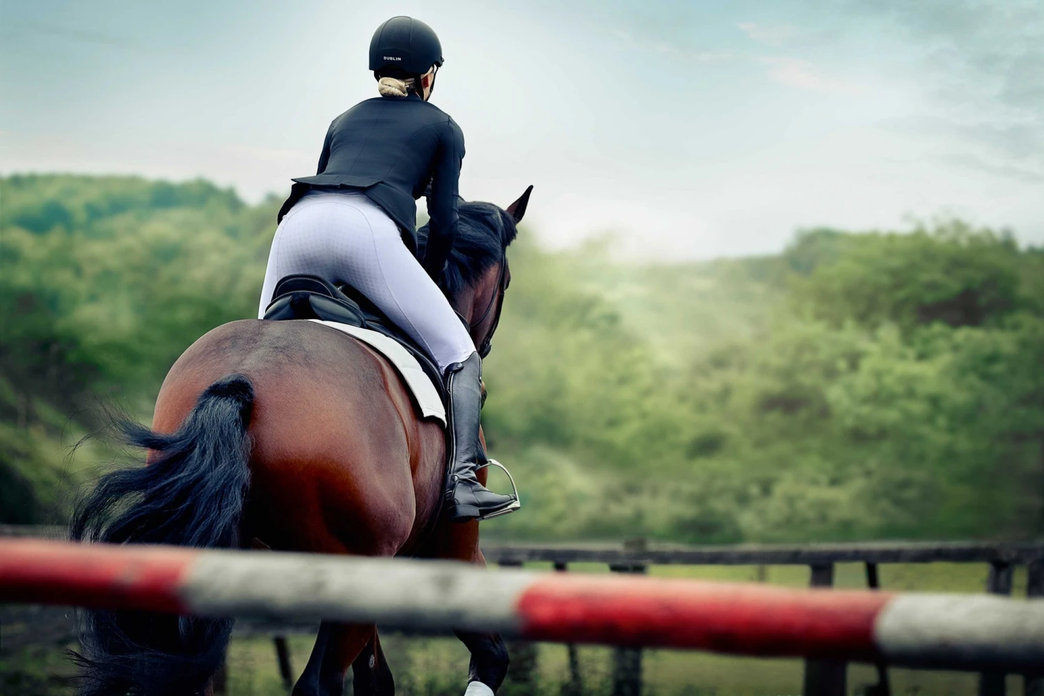 Dublin Ladies Edge Gel Full Seat Breeches (White) - Image 3