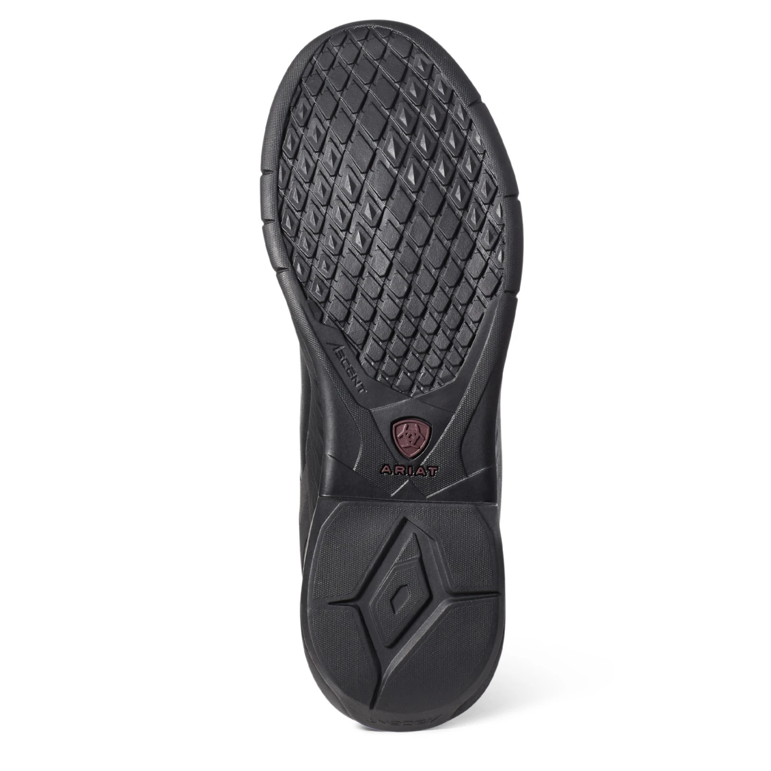 Ariat Women's Ascent Tall Riding (Black) - Image 4