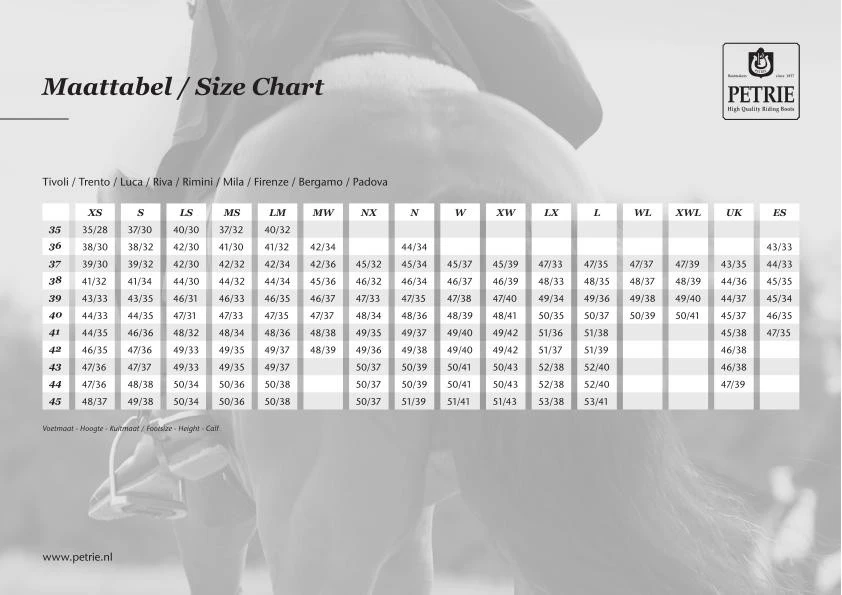 Petrie Riva Tall Riding Boot (Black/Stardust Top) - Image 4