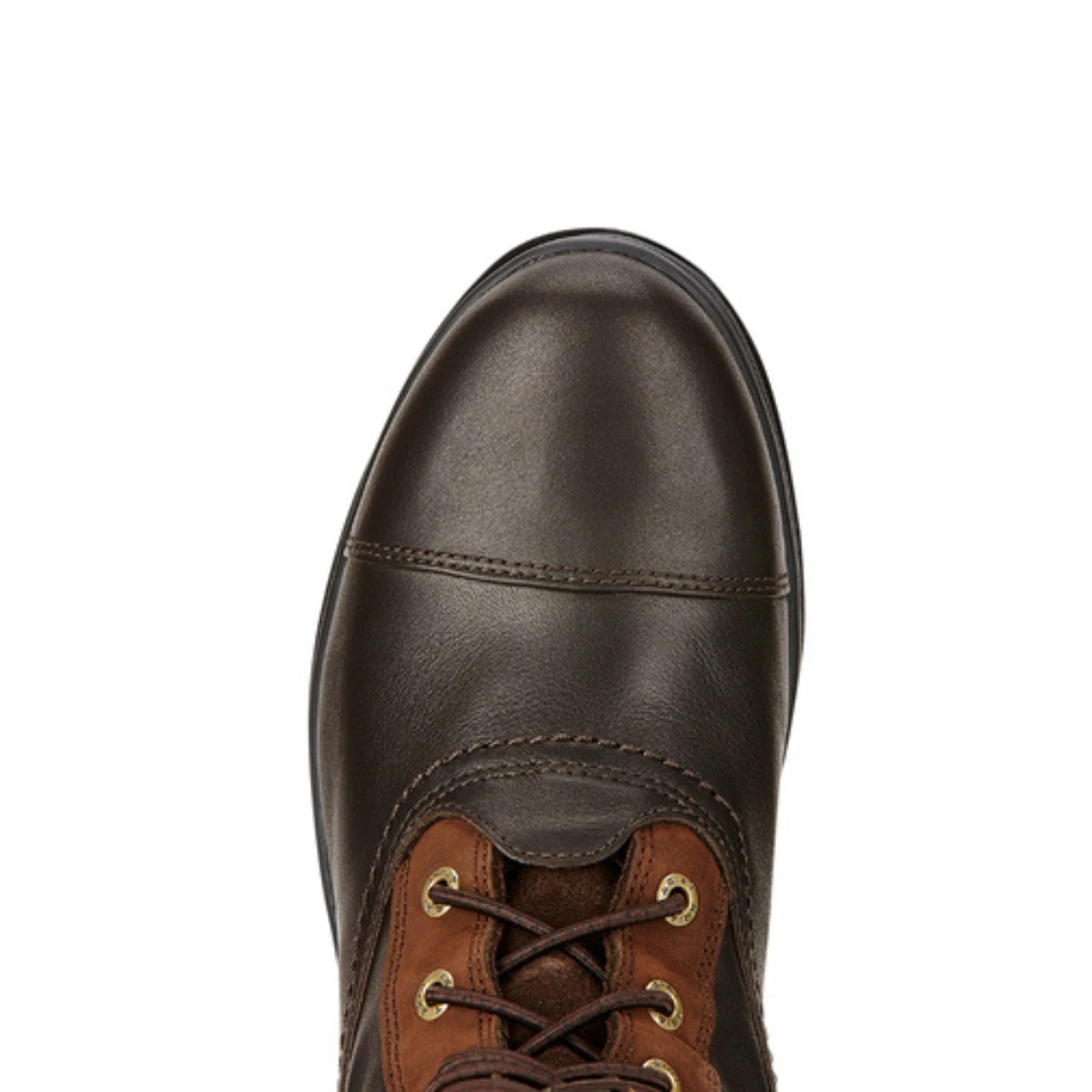 Ariat Women's Coniston Pro GTX Insulated Boots (Ebony) - Image 4